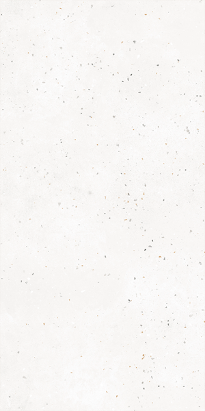 G-40 MR GRANELLA White 60х120х1