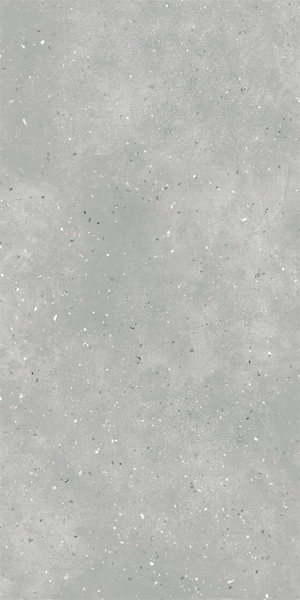 G-42 MR GRANELLA Grey 60х120х1