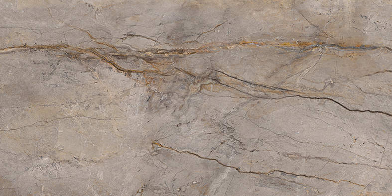 Apavisa Wild Forest Grey Polished G-1442